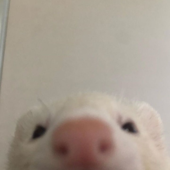 jiamia_0